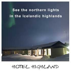 free whale watching iceland