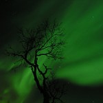 northern lights in reykjavik