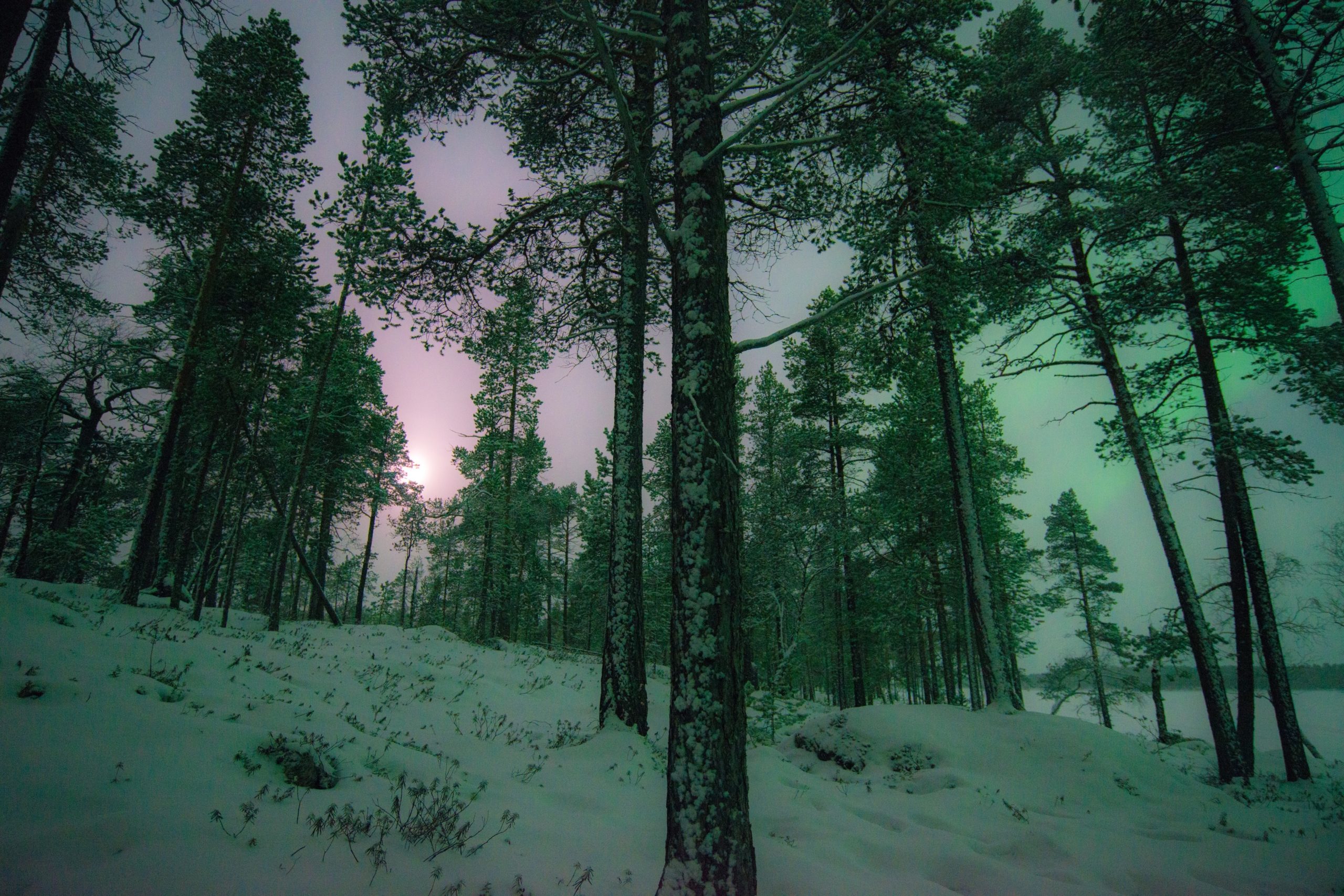 northern lights finland