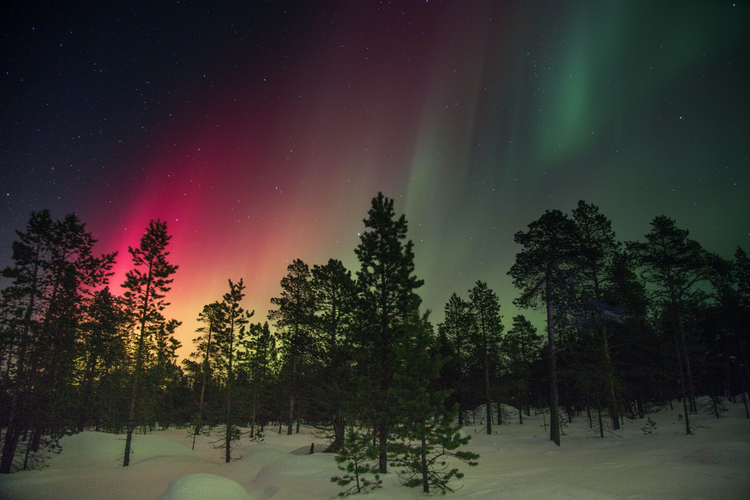 aurora australis