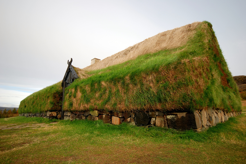 Turf Roof construction