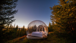 , SOUTH COAST TOUR WITH AN OVERNIGHT STAY IN A BUBBLE