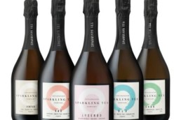 , Iceland’s Most Popular Golden Circle tour with a bubble stay