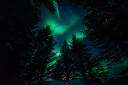 , Iceland’s Most Popular Golden Circle tour with a bubble stay