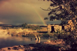 , Iceland’s Most Popular Golden Circle tour with a bubble stay