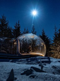 , Guided winter tours