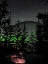 , Guided winter tours